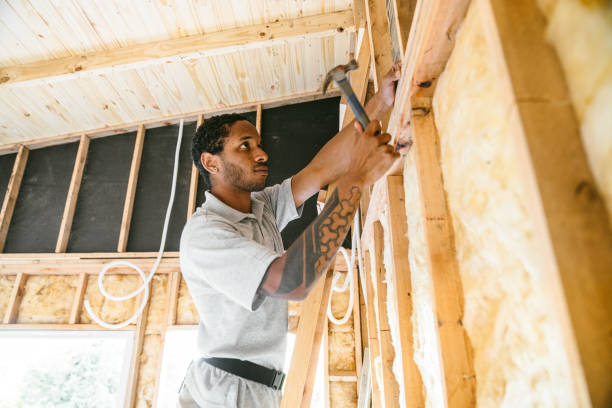 Best Insulation for New Construction  in Grand Island, NE