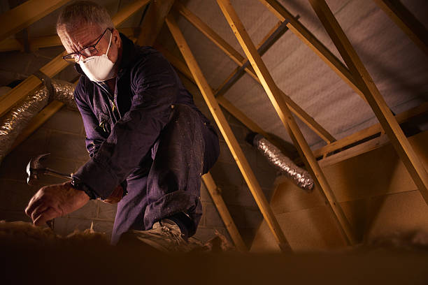 Best Insulation Repair Services  in Grand Island, NE