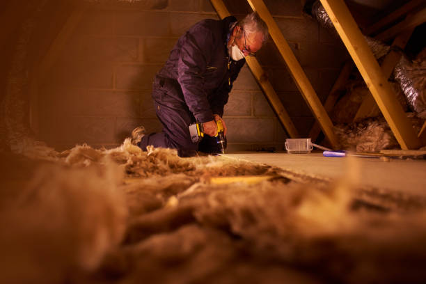 Best Wall Insulation Contractor  in Grand Island, NE